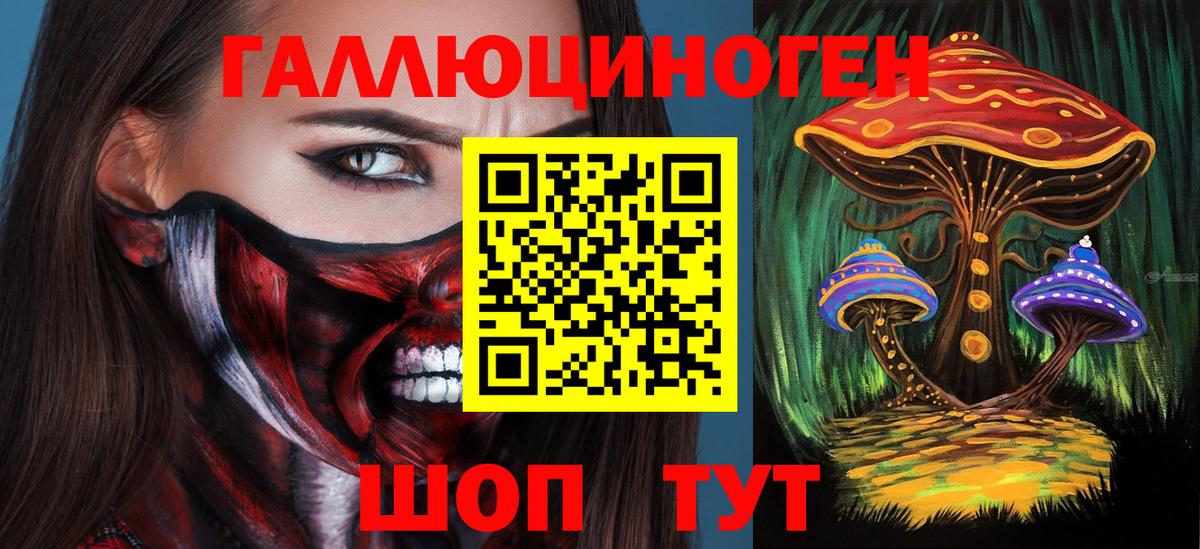 Псилоцибиновые грибы прущие грибы Дербент