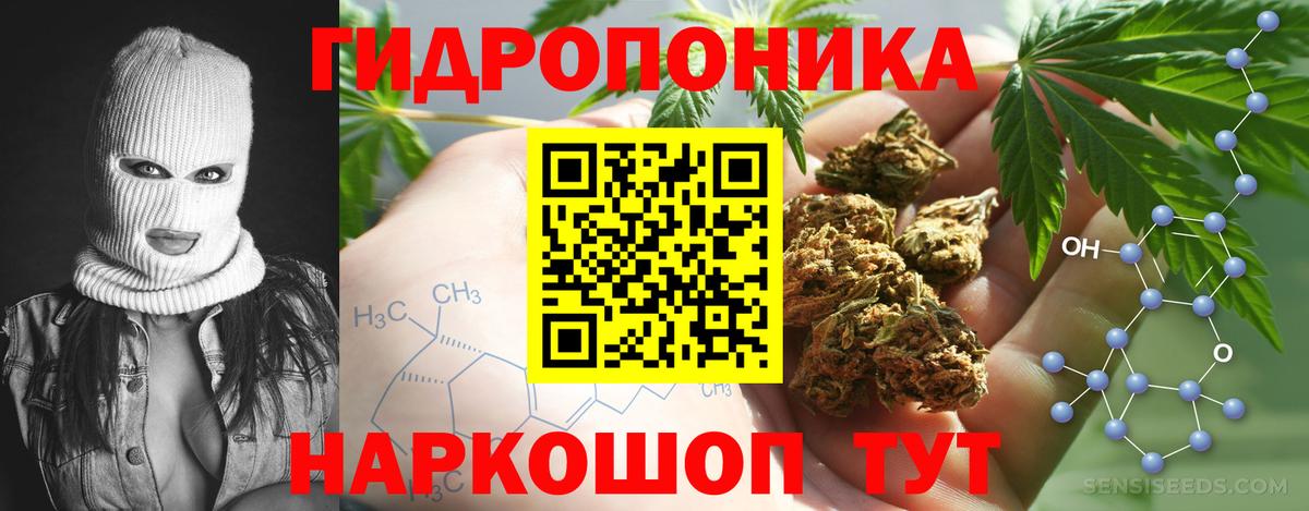 Конопля ГИДРОПОН  Вход с VPN  Бошки марихуана Amnesia  Канабис конопля  Марихуана конопля  Дербент 